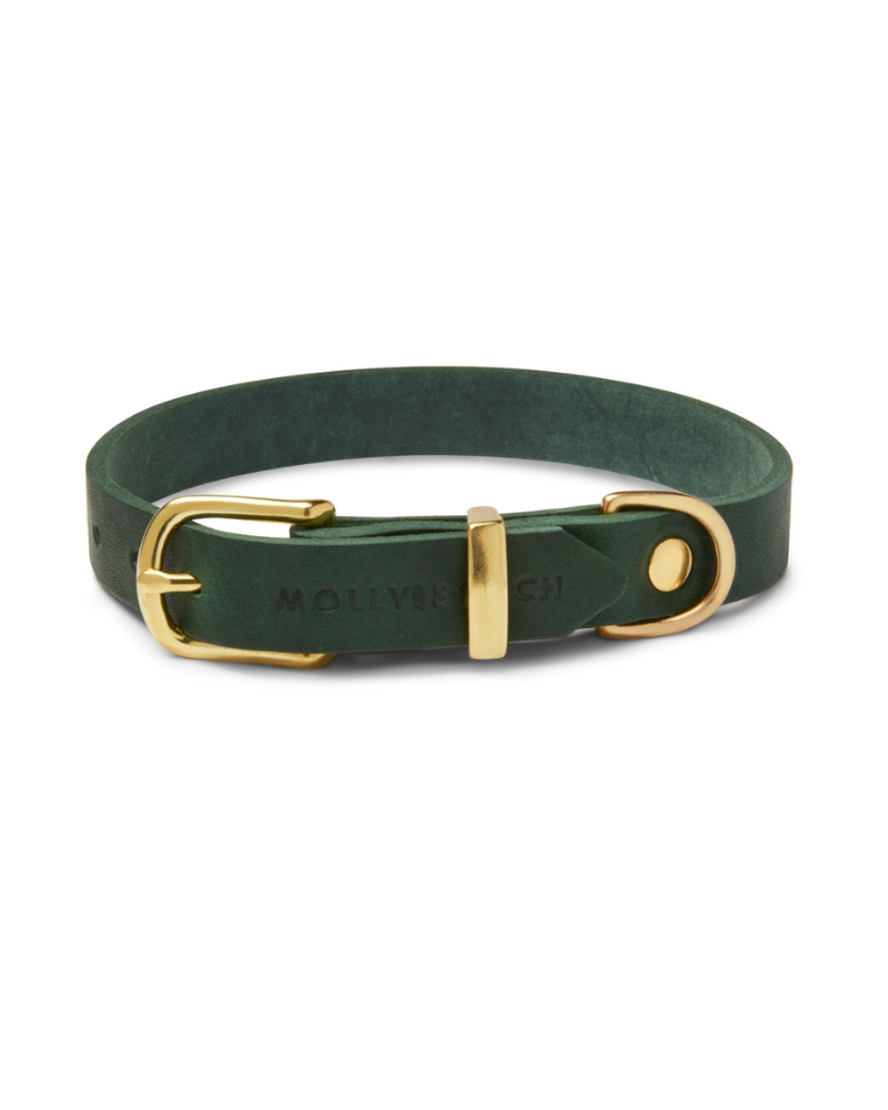 Butter Leather Dog Leash in Forest Green (Made in Austria) WALK MOLLY & STITCH