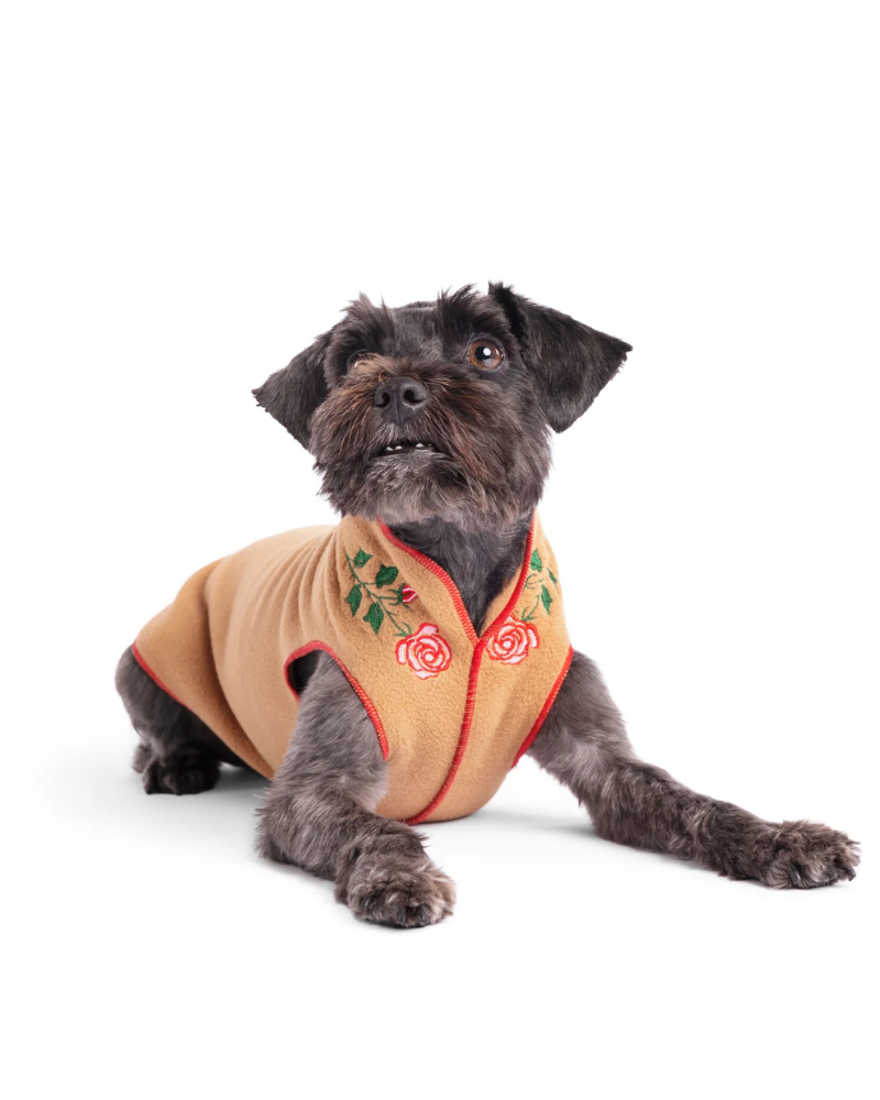 Limited Edition Embroidered Stretch Dog Fleece (Made in the USA) Wear GOLD PAW