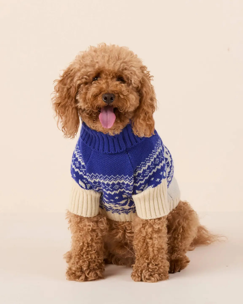 Snow Day Fair Isle Dog Sweater Wear THE FOGGY DOG