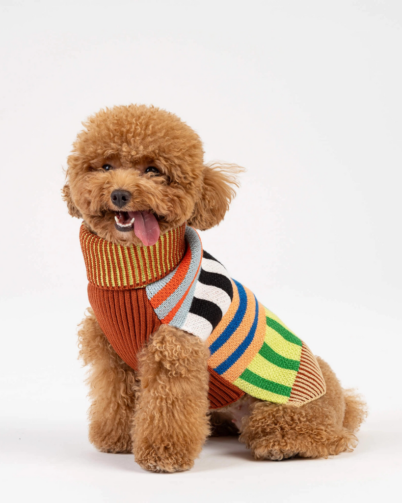 Patchwork Stripe Dog Sweater Wear VERLOOP