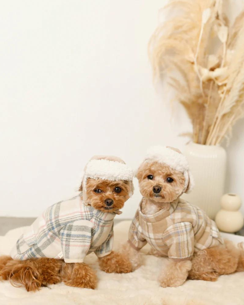 Corduroy Pet Flight Cap Wear MONCHERI   
