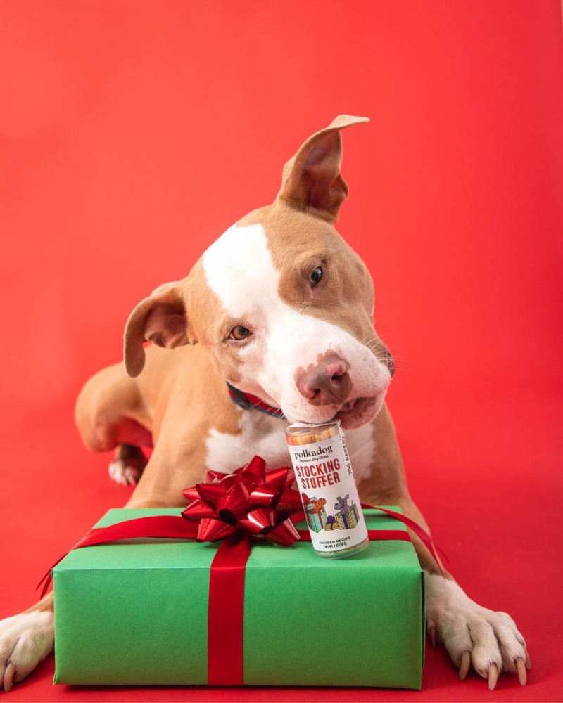 Stocking Stuffer Chicken Little Holiday Dog Treats Eat POLKA DOG BAKERY   