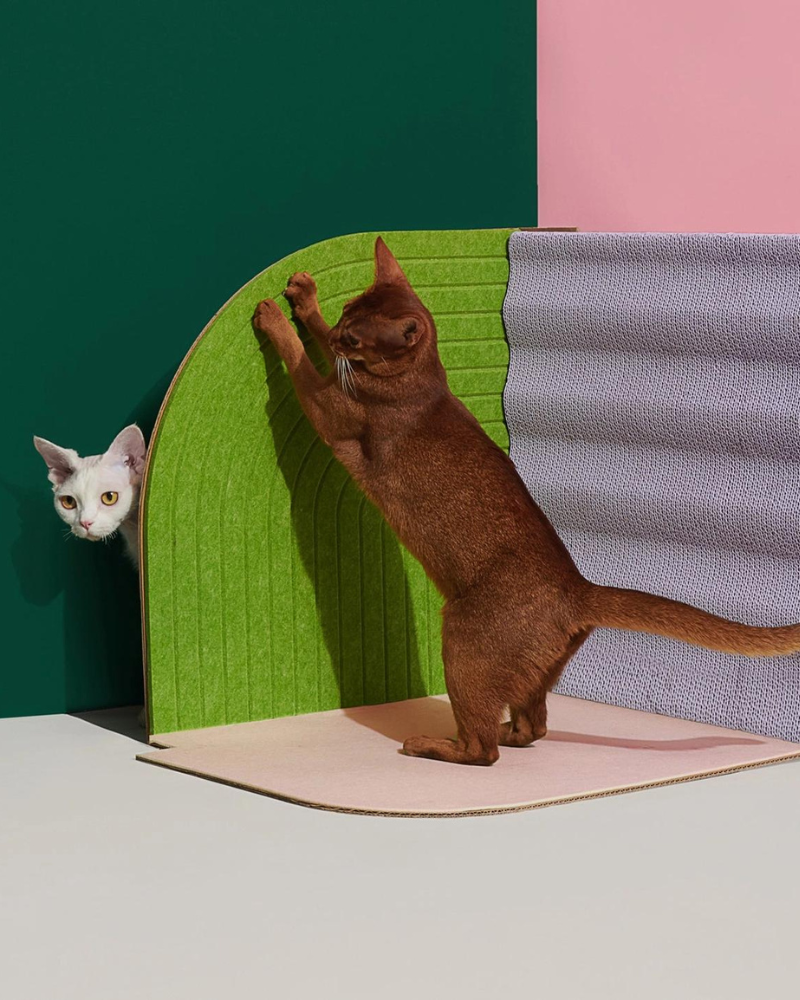 3-Dimensional Cat Scratcher Play PURRRE   