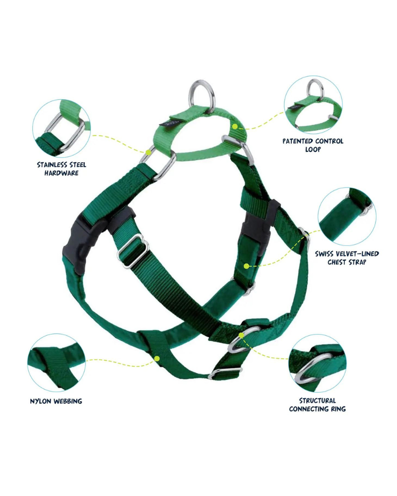 Freedom No-Pull Harness in Kelly Green (Made in the USA) WALK 2 Hounds Design   