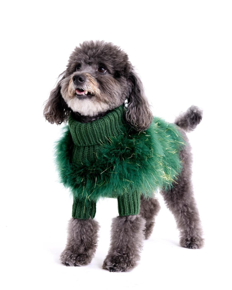 Christian Cowan Holiday Glitz Jumper Dog Sweater Wear MAXBONE   