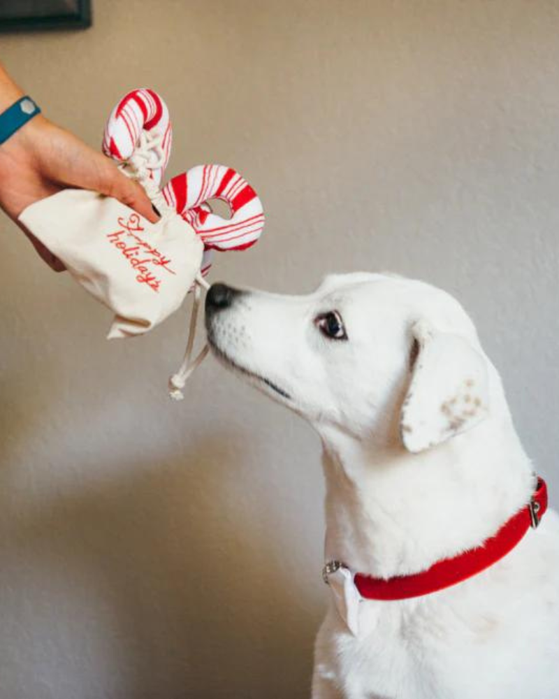 Cheerful Candy Canes Toy Play P.L.A.Y.   