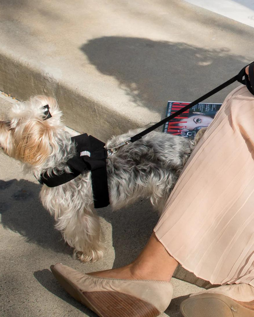 Ultrasuede Small Dog Leash in Black or Lavender (Made in the USA) WALK SUSAN LANCI DESIGNS   