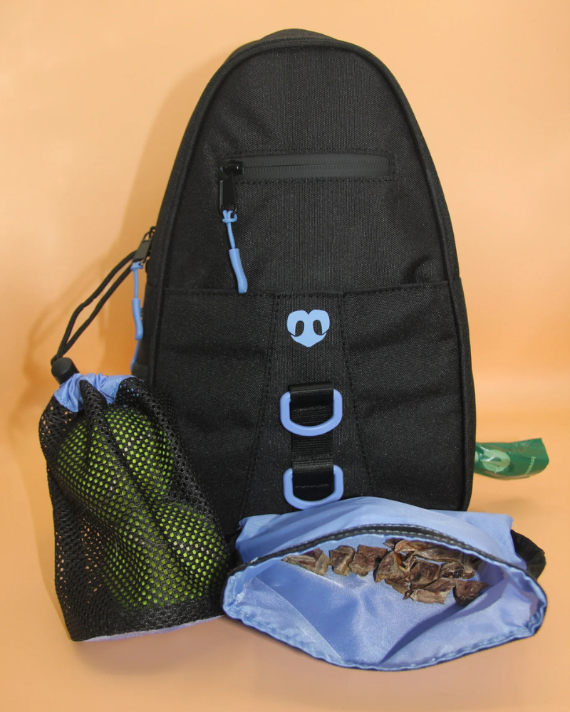 Waterproof Dog Walking Bag w/ Removable Treat Pouch WALK MOLO MODERN PET