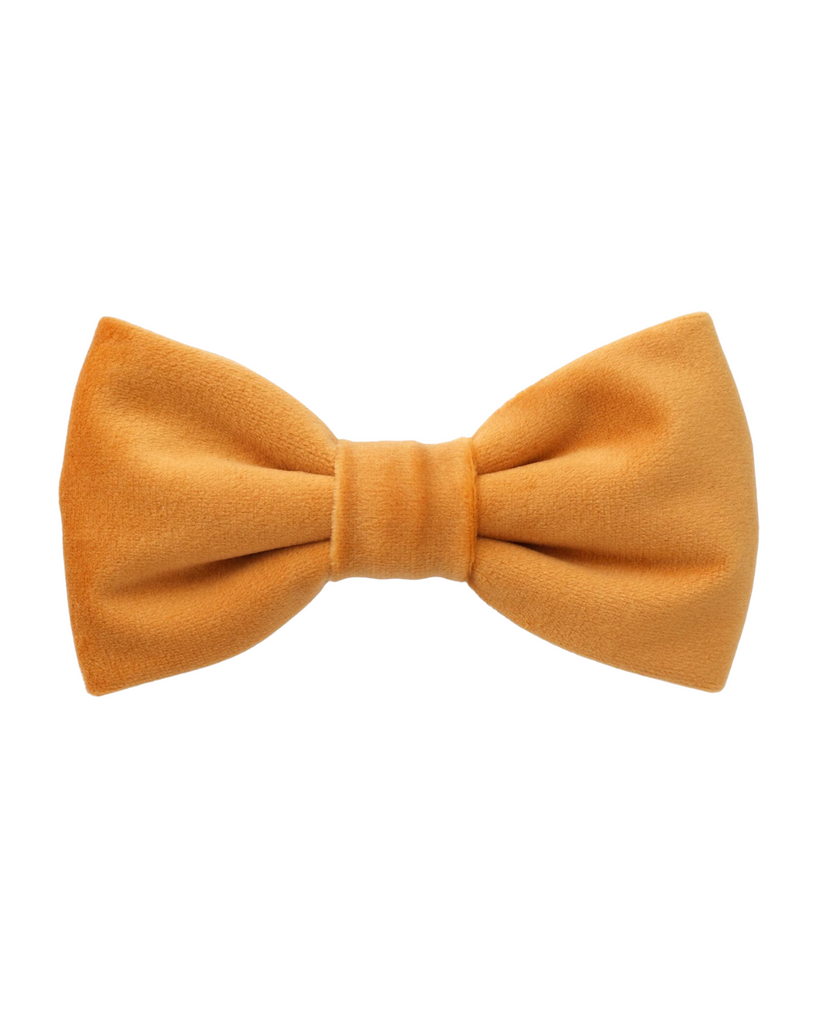 Honey Velvet Dog Bow Tie (Made in the USA) Wear THE FOGGY DOG Small  
