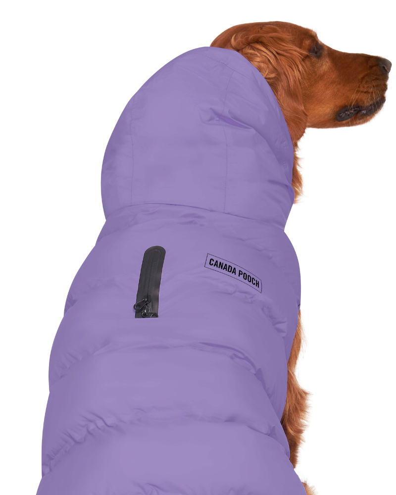 Insulated Waterproof Dog Puffer (FINAL SALE) Wear CANADA POOCH   