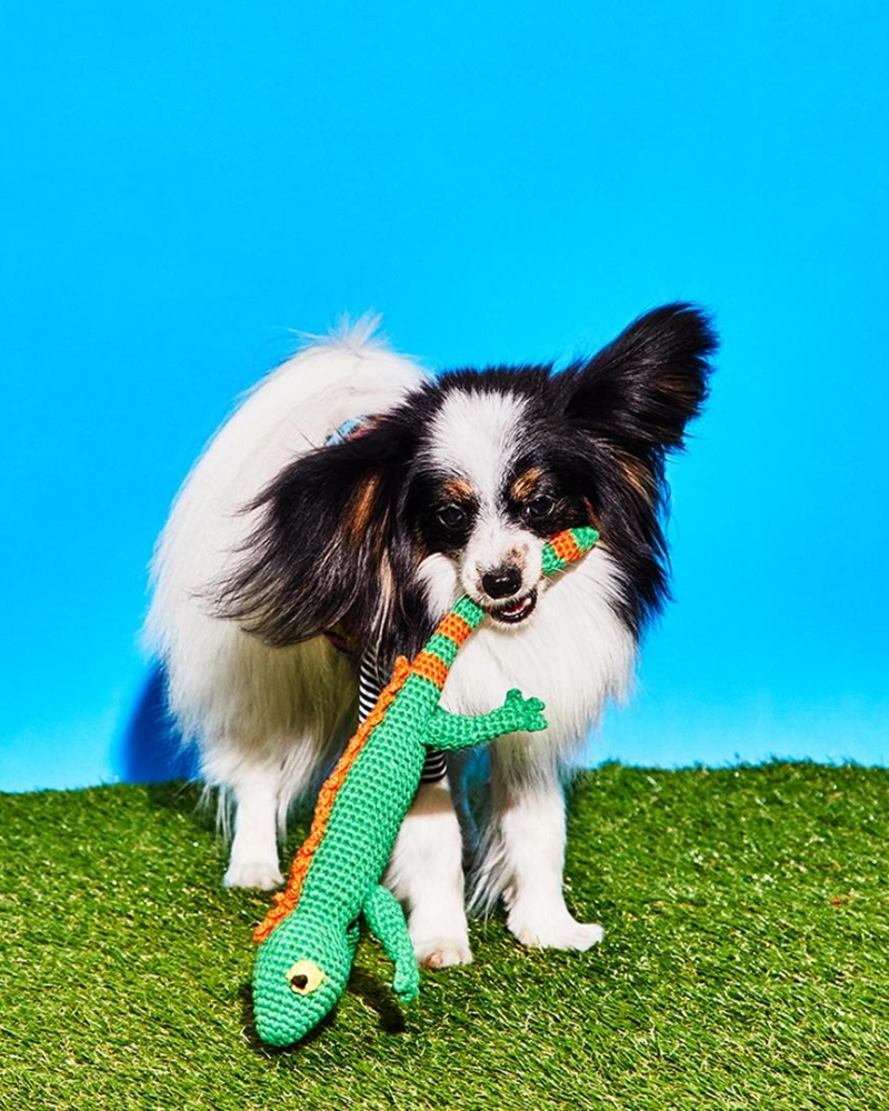 Hand Crochet Lizard Dog Toy Play WARE OF THE DOG   