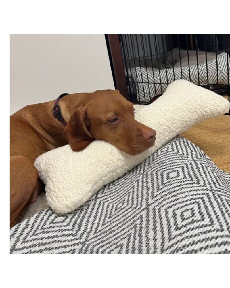 Bumper Bone Pillow Dog Beds BOWSER'S PET PRODUCTS