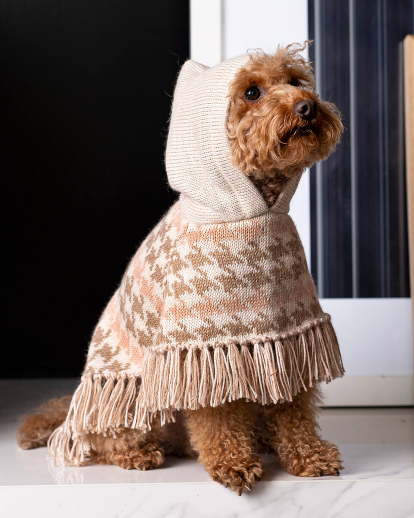 Soft Houndstone Alpaca Dog Poncho wear ALQO WASI
