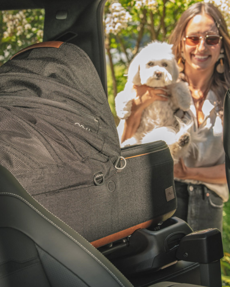 Maeve™ + Roscoe™ 3-in-1 Pet Stroller & Car Seat HOME TAVO PET   