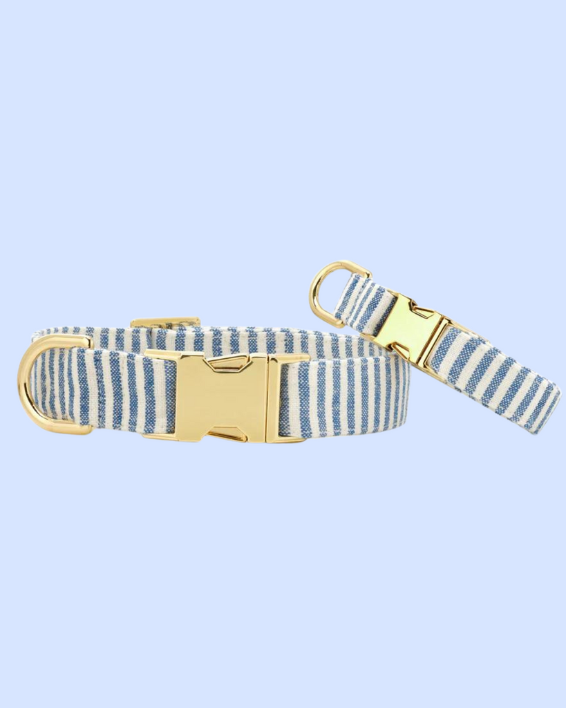 Lake Blue Stripe Spring Dog Collar WALK THE FOGGY DOG   