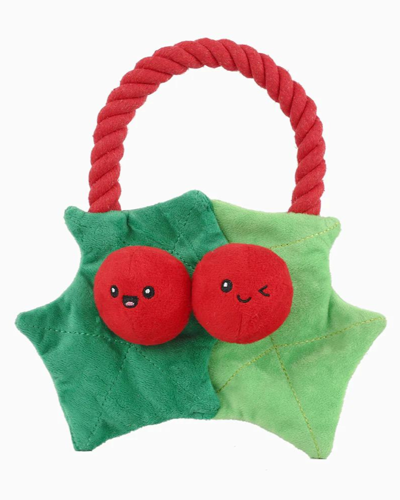 Christmas Berry Crinkle Dog Toy Play HUGSMART   