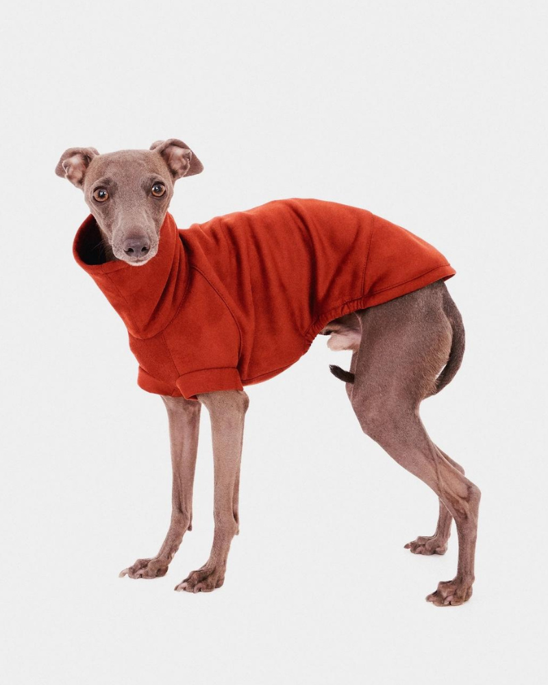 Dog Turtleneck in Tile (FINAL SALE) Wear FORGALGO   