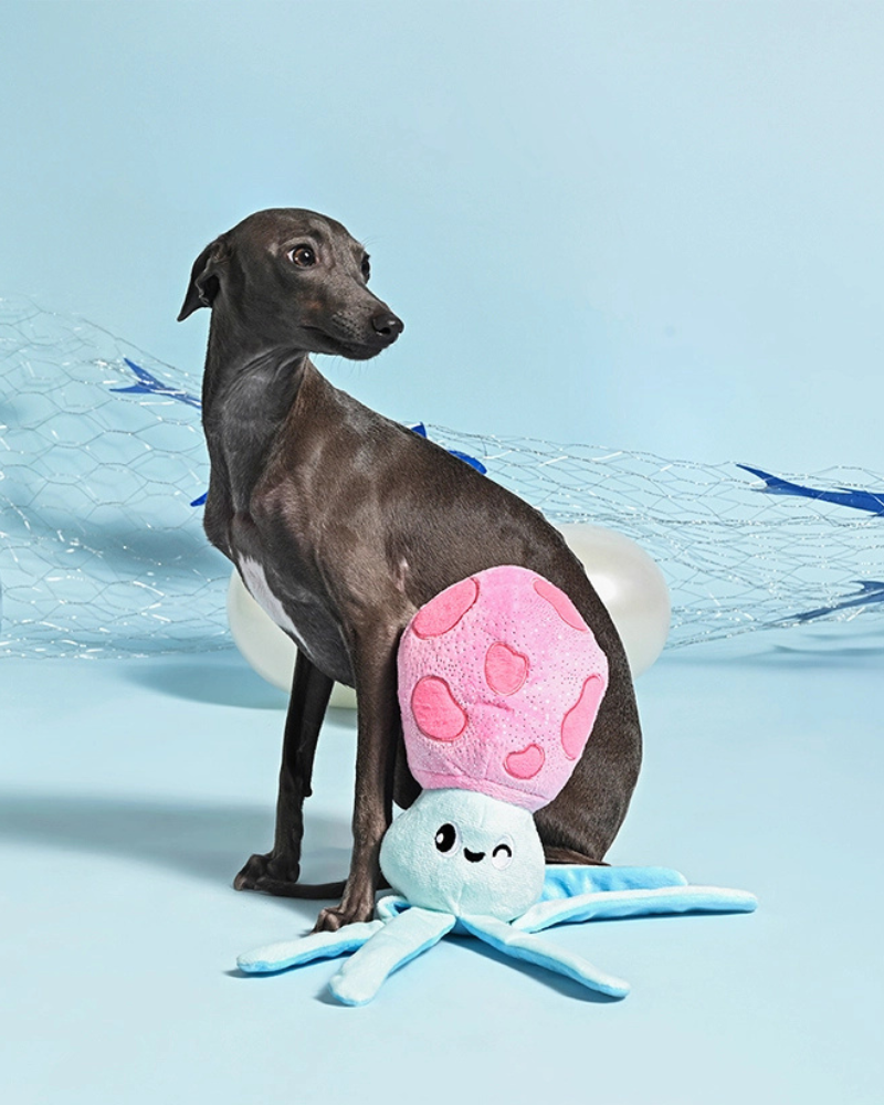 DOG & CO. | Quality Pet Products, In-Store & Online