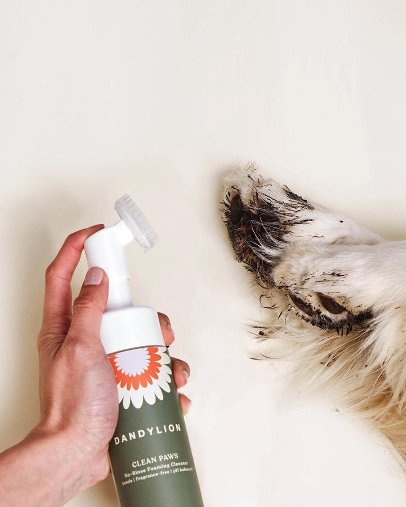 Clean Paws No-Rinse Foaming Cleanser for Dogs (Vegan & Cruelty Free) HOME DANDYLION   