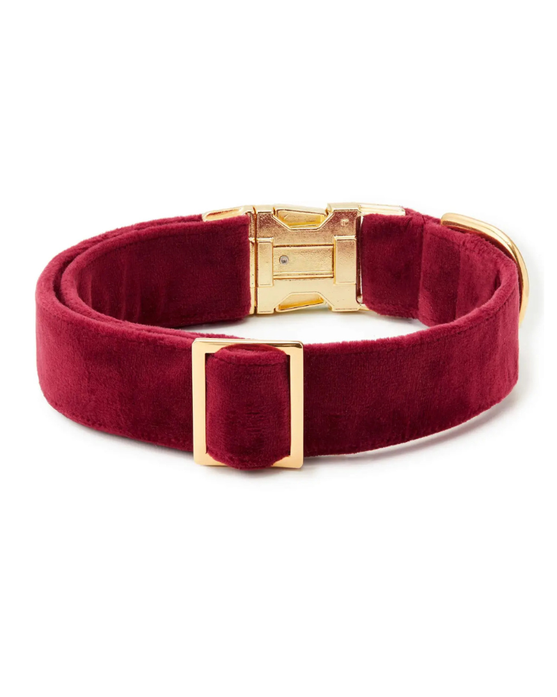 Burgundy Velvet Dog Collar WALK THE FOGGY DOG