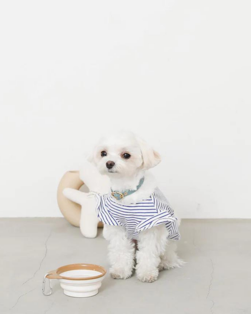 Folding Food & Water Bowl Eat MONCHERI   