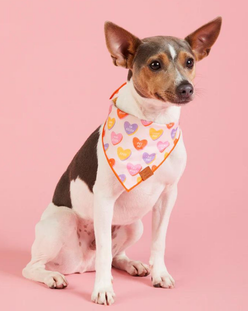 Candy Hearts Dog Bandana (Made in the USA) (FINAL SALE) Wear THE FOGGY DOG   
