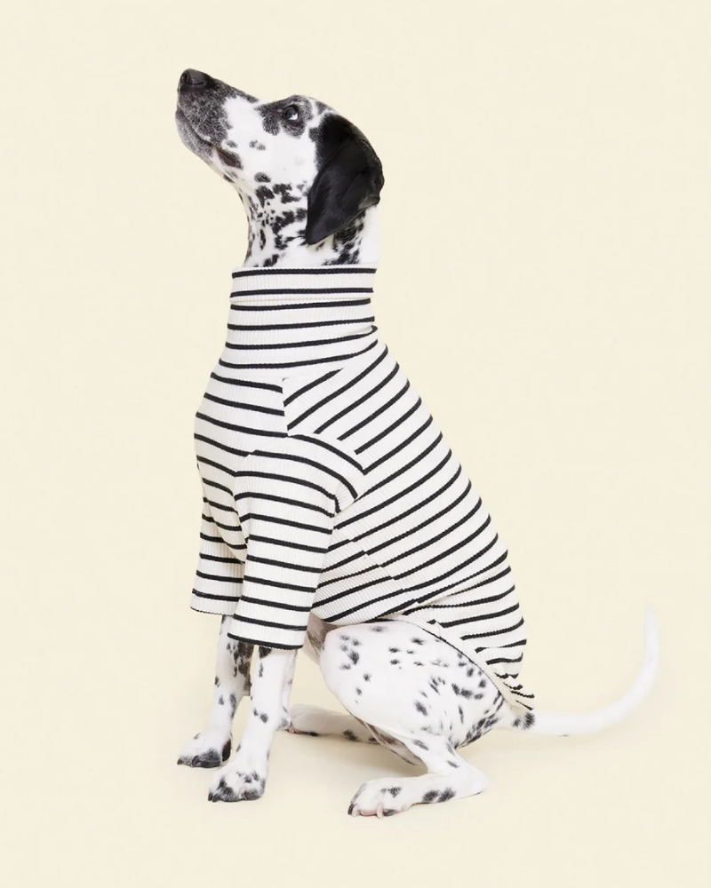 World's Your Oyster Dog Pullover Shirt Wear LITTLE BEAST