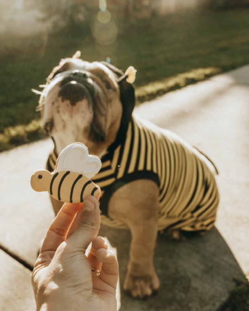 Bee-Licious Peanut Butter Dog Treats EAT BUTTERS BARKERY & PAWTISSERIE   