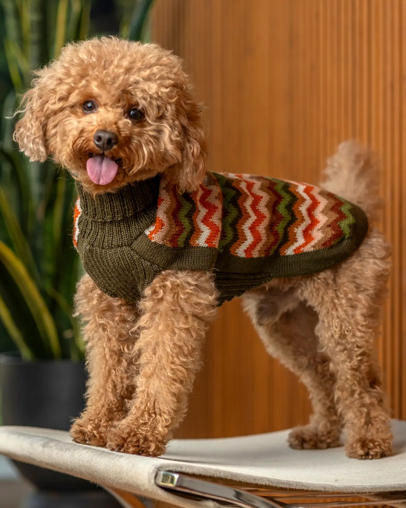 Forest Chevron Alpaca Knit Dog Sweater Wear ALQO WASI