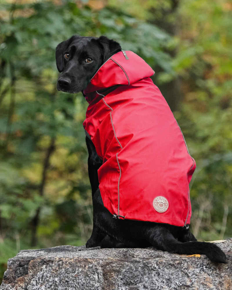 Reversible Waterproof Big Dog Raincoat In Red Plaid (FINAL SALE) Wear GF PET   