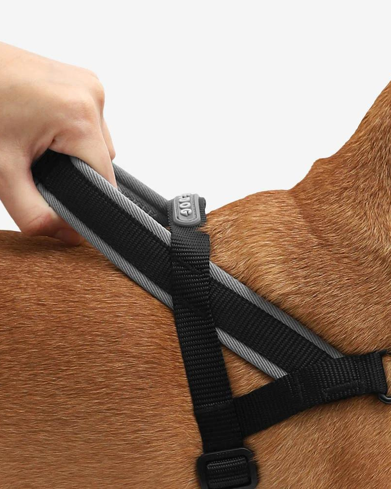 SoftWalk No-Pull Dog Harness WALK ZEE.DOG   