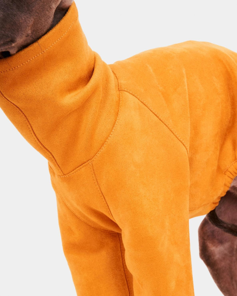 Long Sleeve Dog Turtleneck in Yellow (FINAL SALE) Wear FORGALGO   