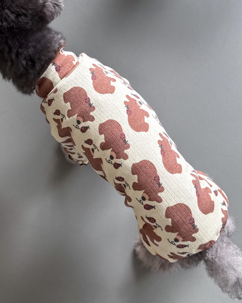 Bear & Ladybug Dog Onesie