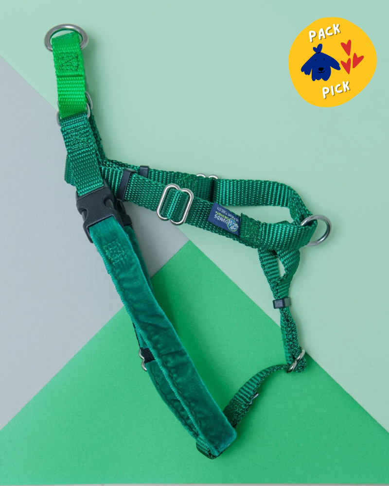 Freedom No-Pull Harness in Kelly Green (Made in the USA) (FINAL SALE) WALK 2 Hounds Design   