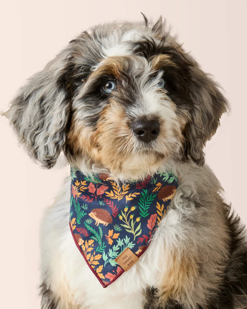 Hedgehog Hollow Cotton Dog Bandana (Made in the USA) Wear THE FOGGY DOG