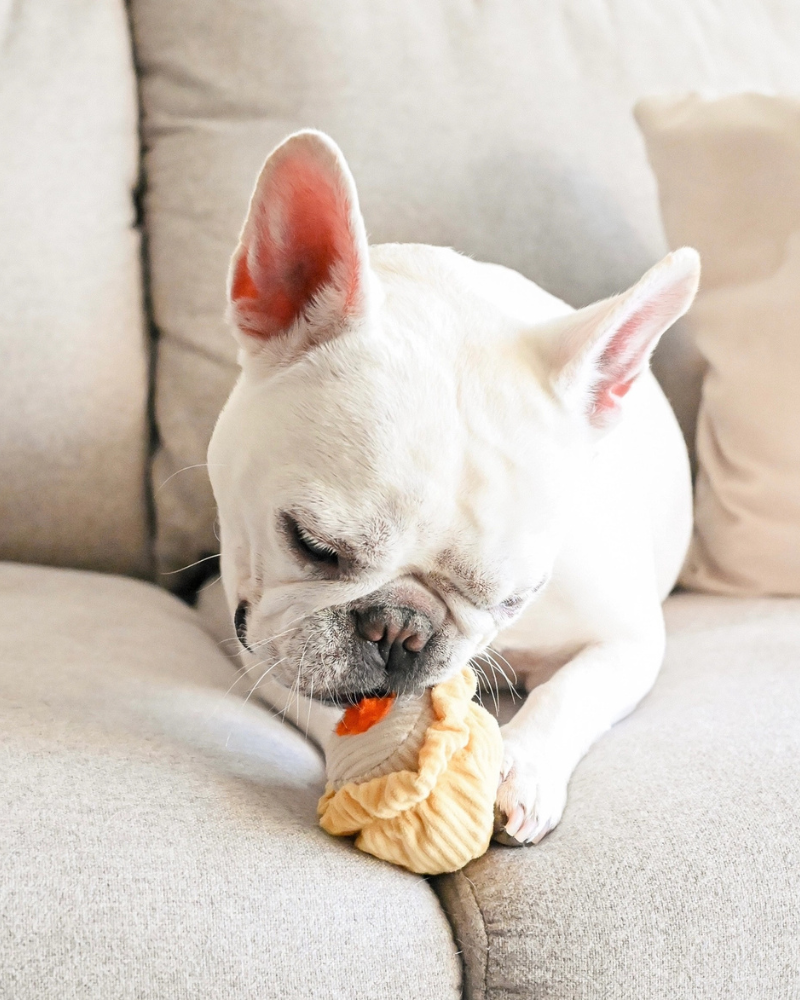 Dim Sum Pop Enrichment Dog Toy PLAY LAMBWOLF COLLECTIVE
