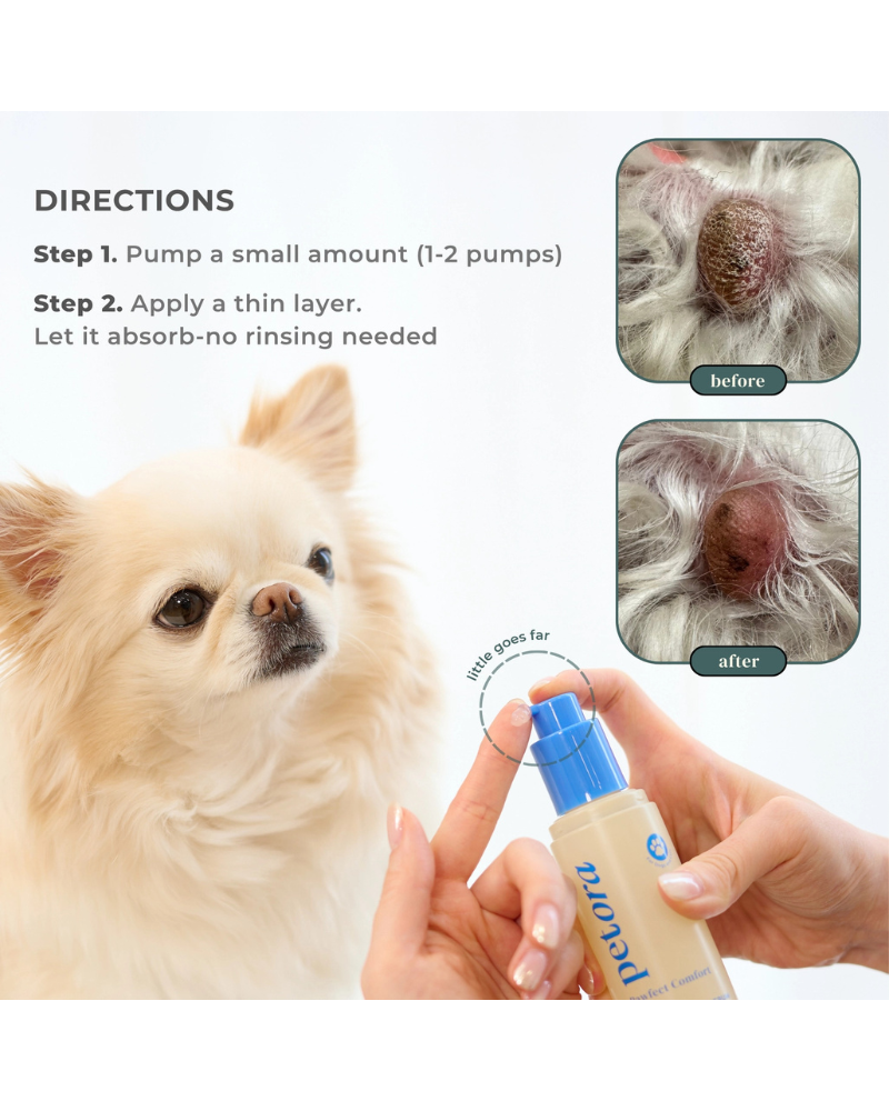 Pawfect Comfort Nose-to-Tail Soothing Jelly Serum for Dogs & Cats HOME PETORA