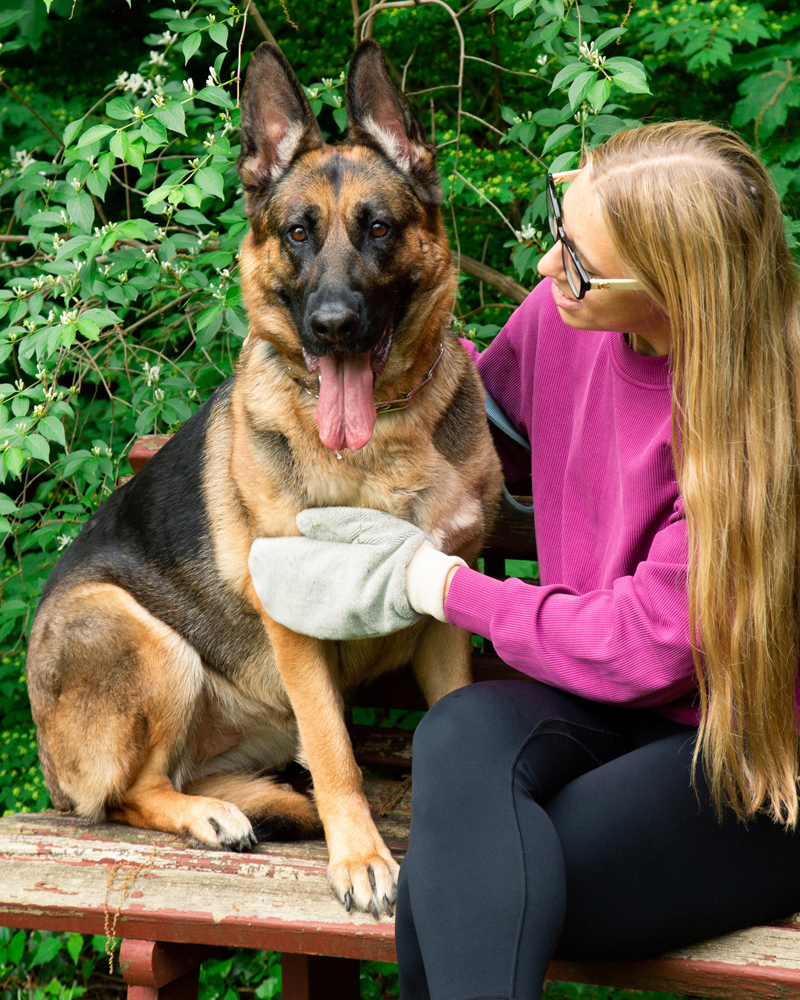 Microfiber Tick Mitt for Humans & Pets WALK TICK MITT   