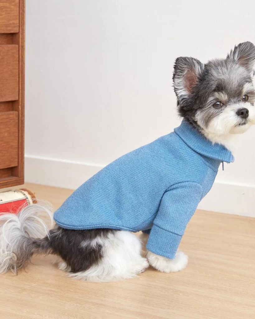 Foldover Half-Zip Dog Knit Sweater (FINAL SALE) Wear MIMINKO   