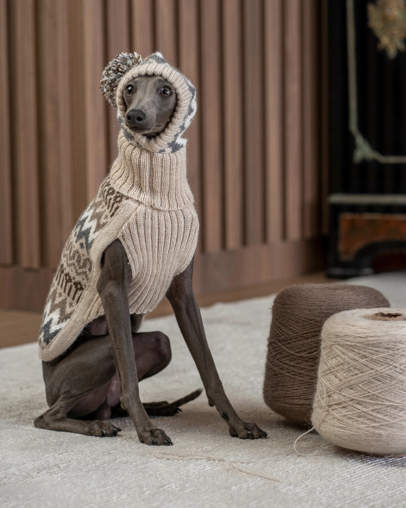 ALQO WASI | Wooly Winter Alpaca Dog Hat | DOG & CO.