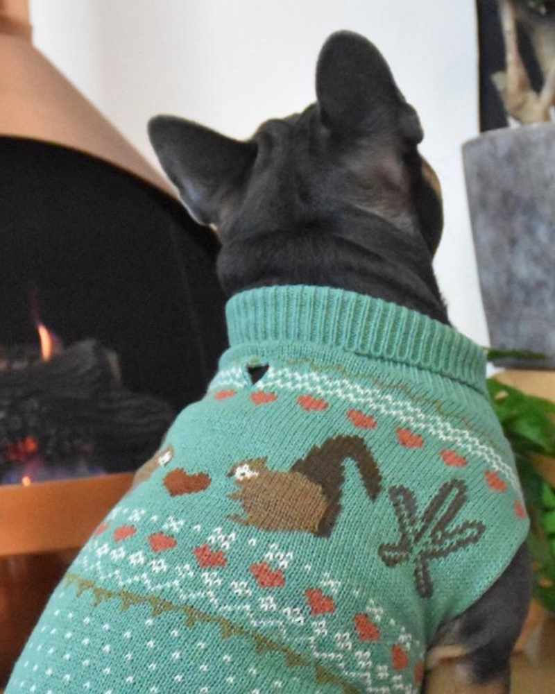 Squirrel Love Dog Sweater Wear Finnegan's Standard Goods   
