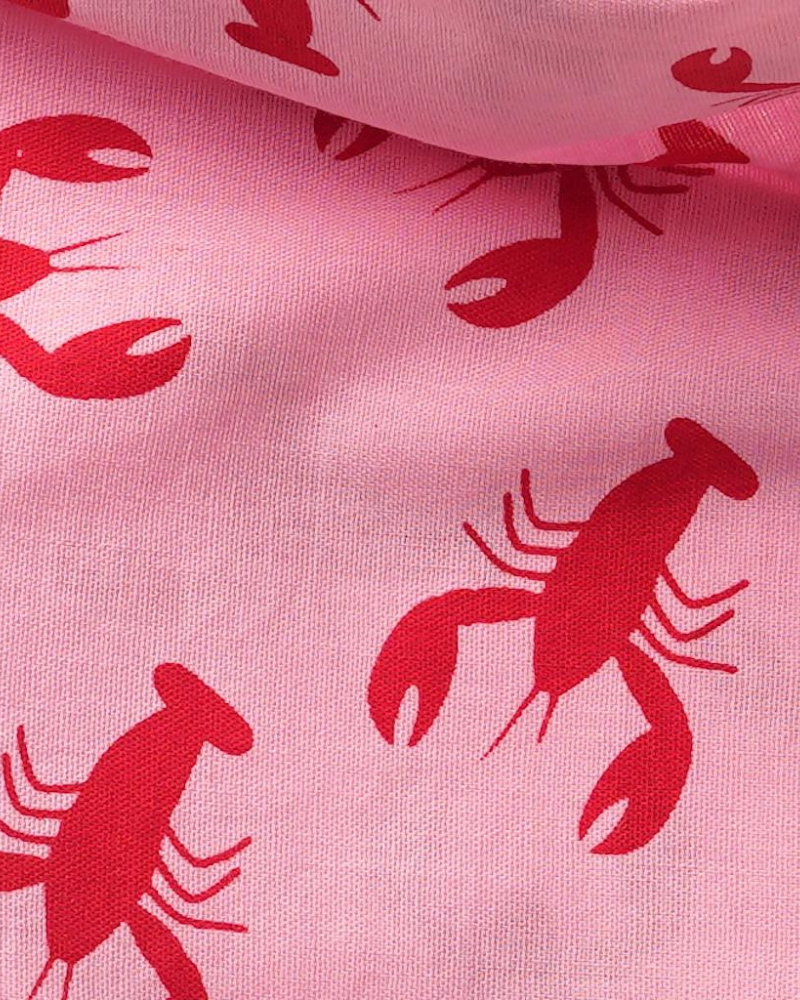 Frye Island Lobster Dog Bandana (FINAL SALE) Wear THE PAWS   