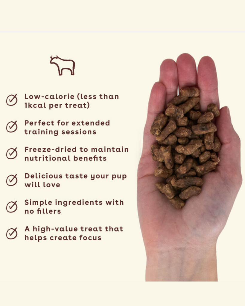 Freeze Dried Beef Liver Training Treats Eat PUPFORD   