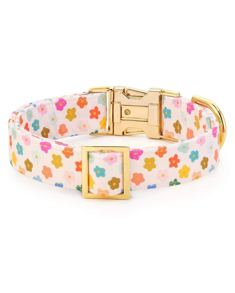 Rainbow Flower Dog Collar (Made in the USA) (FINAL SALE) WALK THE FOGGY DOG   