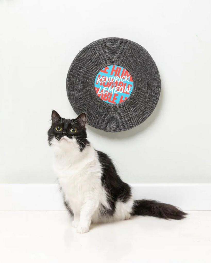 Kendrick Lemeow Record Cat Scratcher PLAY FUZZYARD