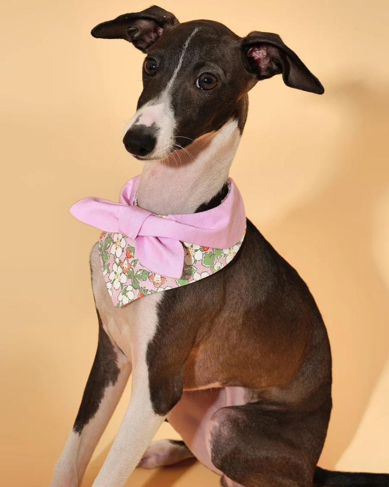 Garden Pink Bloom Dog Bandana Wear BARKBARK BABY