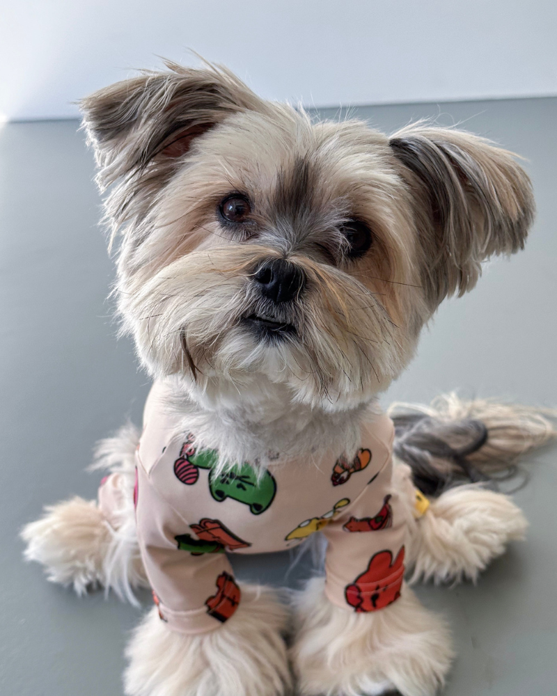 Cote Friends Heatwarm Dog One Piece (FW24LO) Wear COTE A COTE