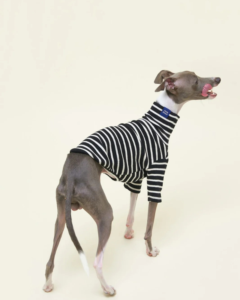 Cafe in Paris Dog Shirt Wear LITTLE BEAST