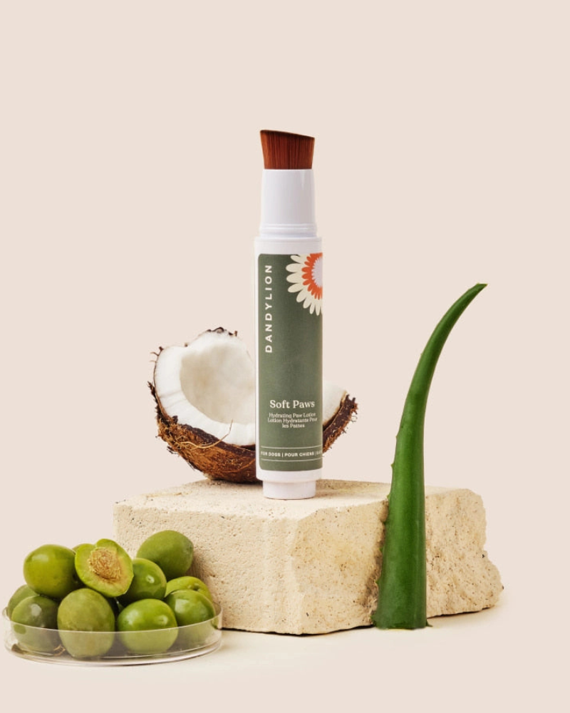 Soft Paws Hydrating Paw Lotion HOME DANDYLION