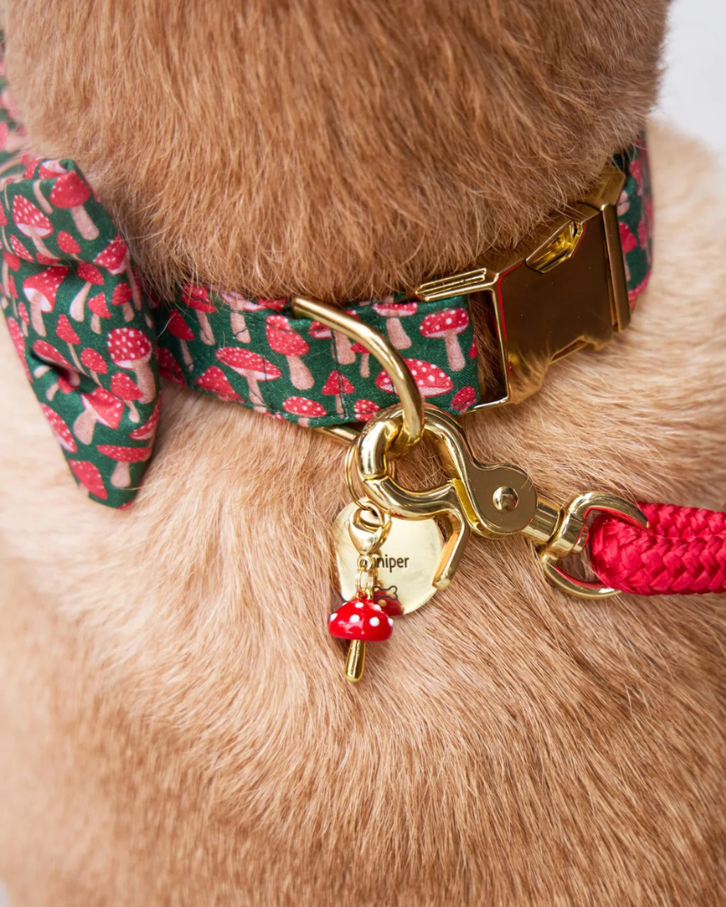 Toadstool Dog Collar Charm Wear THE FOGGY DOG